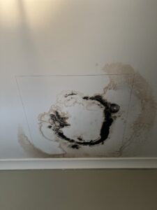 Residential painter in Jackson Michigan interior painting and finishing